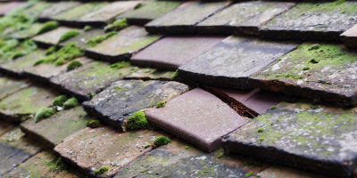 Abridge roof repair costs